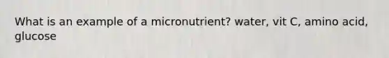 What is an example of a micronutrient? water, vit C, amino acid, glucose