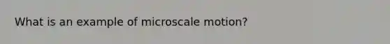 What is an example of microscale motion?