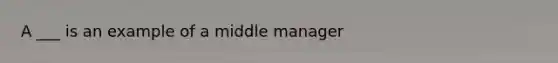 A ___ is an example of a middle manager