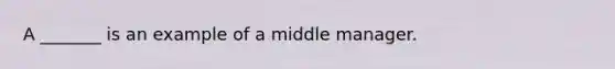 A _______ is an example of a middle manager.