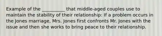 Example of the __________ that middle-aged couples use to maintain the stability of their relationship: If a problem occurs in the Jones marriage, Mrs. Jones first confronts Mr. Jones with the issue and then she works to bring peace to their relationship.