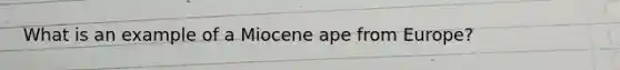 What is an example of a Miocene ape from Europe?