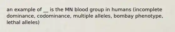 an example of __ is the MN blood group in humans (incomplete dominance, codominance, multiple alleles, bombay phenotype, lethal alleles)