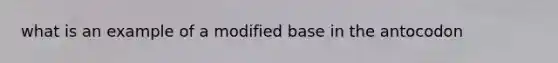 what is an example of a modified base in the antocodon