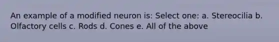 An example of a modified neuron is: Select one: a. Stereocilia b. Olfactory cells c. Rods d. Cones e. All of the above