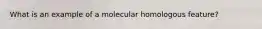 What is an example of a molecular homologous feature?