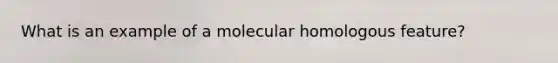 What is an example of a molecular homologous feature?