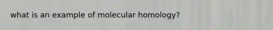 what is an example of molecular homology?