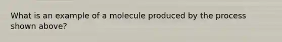 What is an example of a molecule produced by the process shown above?