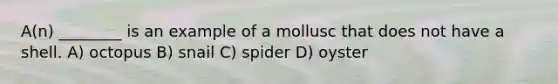 A(n) ________ is an example of a mollusc that does not have a shell. A) octopus B) snail C) spider D) oyster