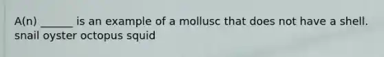 A(n) ______ is an example of a mollusc that does not have a shell. snail oyster octopus squid