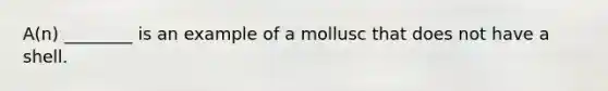 A(n) ________ is an example of a mollusc that does not have a shell.