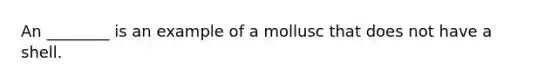 An ________ is an example of a mollusc that does not have a shell.