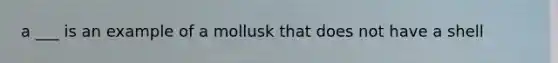 a ___ is an example of a mollusk that does not have a shell