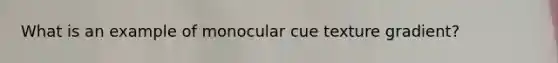 What is an example of monocular cue texture gradient?