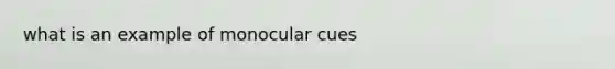 what is an example of monocular cues