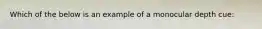 Which of the below is an example of a monocular depth cue: