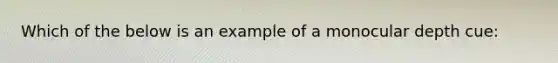 Which of the below is an example of a monocular depth cue: