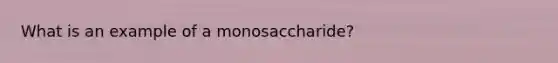 What is an example of a monosaccharide?