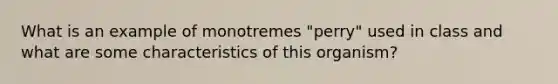 What is an example of monotremes "perry" used in class and what are some characteristics of this organism?