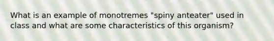 What is an example of monotremes "spiny anteater" used in class and what are some characteristics of this organism?