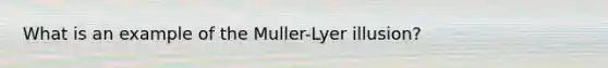 What is an example of the Muller-Lyer illusion?