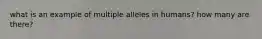 what is an example of multiple alleles in humans? how many are there?