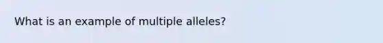 What is an example of multiple alleles?