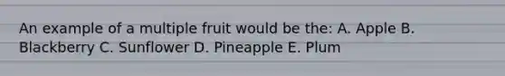 An example of a multiple fruit would be the: A. Apple B. Blackberry C. Sunflower D. Pineapple E. Plum