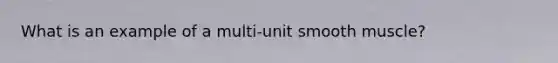 What is an example of a multi-unit smooth muscle?