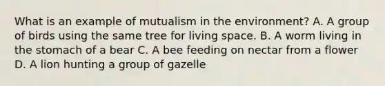 What is an example of mutualism in the environment? A. A group of birds using the same tree for living space. B. A worm living in the stomach of a bear C. A bee feeding on nectar from a flower D. A lion hunting a group of gazelle