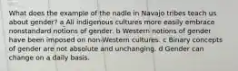 What does the example of the nadle in Navajo tribes teach us about gender? a All indigenous cultures more easily embrace nonstandard notions of gender. b Western notions of gender have been imposed on non-Western cultures. c Binary concepts of gender are not absolute and unchanging. d Gender can change on a daily basis.