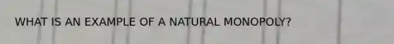 WHAT IS AN EXAMPLE OF A NATURAL MONOPOLY?