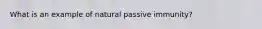 What is an example of natural passive immunity?