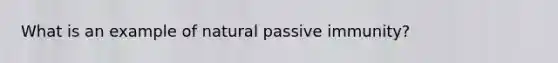 What is an example of natural passive immunity?