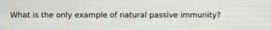 What is the only example of natural passive immunity?