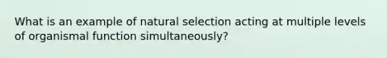 What is an example of natural selection acting at multiple levels of organismal function simultaneously?