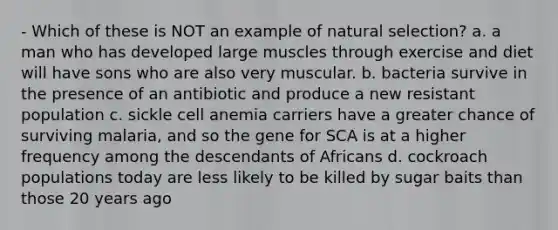 - Which of these is NOT an example of natural selection? a. a man who has developed large muscles through exercise and diet will have sons who are also very muscular. b. bacteria survive in the presence of an antibiotic and produce a new resistant population c. sickle cell anemia carriers have a greater chance of surviving malaria, and so the gene for SCA is at a higher frequency among the descendants of Africans d. cockroach populations today are less likely to be killed by sugar baits than those 20 years ago