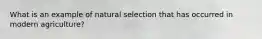 What is an example of natural selection that has occurred in modern agriculture?