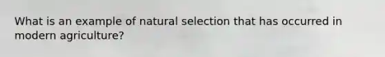 What is an example of natural selection that has occurred in modern agriculture?