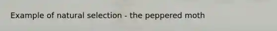 Example of natural selection - the peppered moth