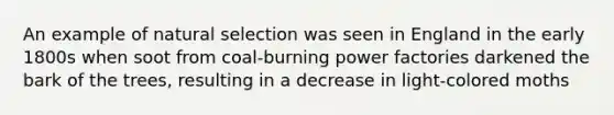 An example of natural selection was seen in England in the early 1800s when soot from coal-burning power factories darkened the bark of the trees, resulting in a decrease in light-colored moths