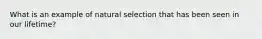 What is an example of natural selection that has been seen in our lifetime?