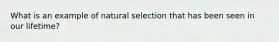 What is an example of natural selection that has been seen in our lifetime?