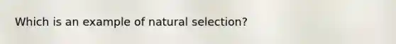 Which is an example of natural selection?