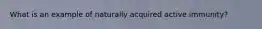 What is an example of naturally acquired active immunity?