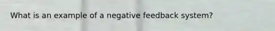 What is an example of a negative feedback system?