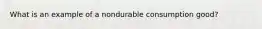 What is an example of a nondurable consumption good?