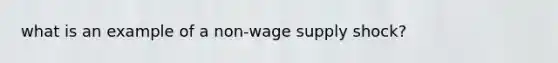 what is an example of a non-wage supply shock?