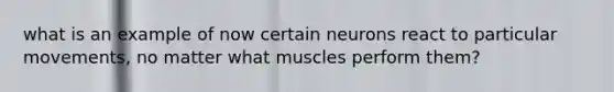 what is an example of now certain neurons react to particular movements, no matter what muscles perform them?